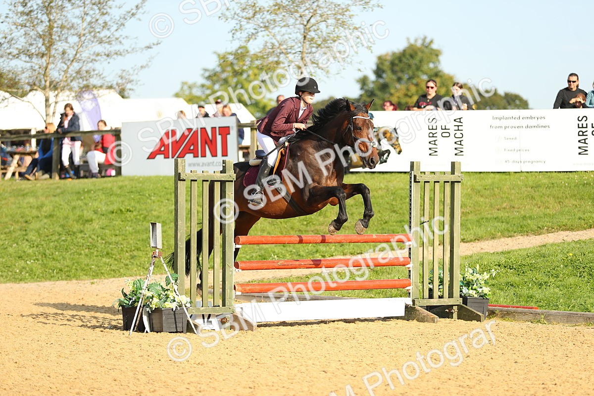 SBM_60249 - J41 - Grand Tour 95cm Championship