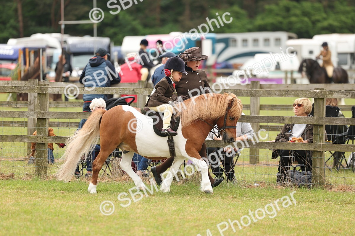 SBM_06657 - Class 74-75 - M&M Lead Rein and First Ridden Pony