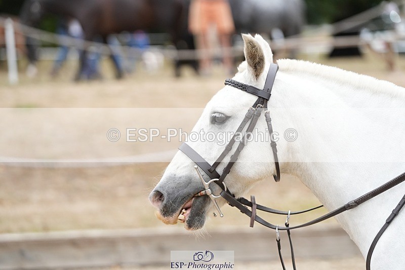 250820A-102848-02354 - Round 2, 9.45 to 10.45 Break