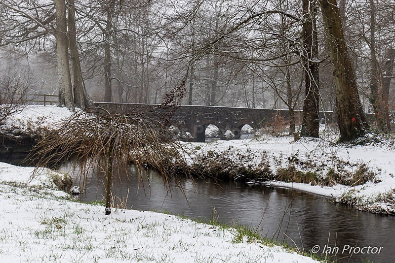 Beast From the East arrives at Minnowburn - Winter