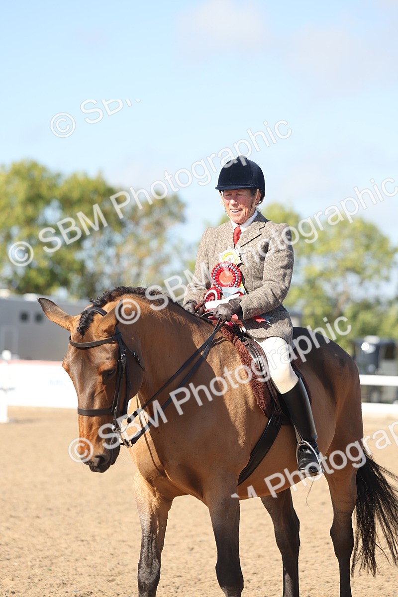 SBM_22341 - Class 803 - Ridden Combination 65+