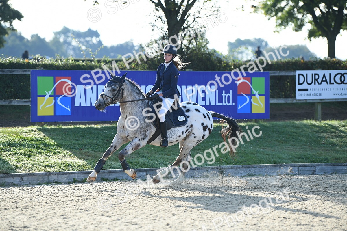 SBM_58338 - J24 - Junior Horse 75cm Championship