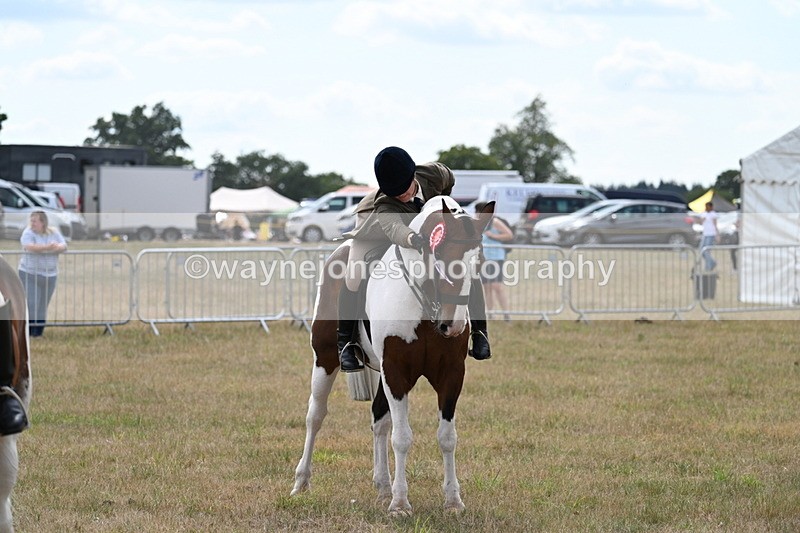 WJ7_5560 - Class 12 Ridden Cob