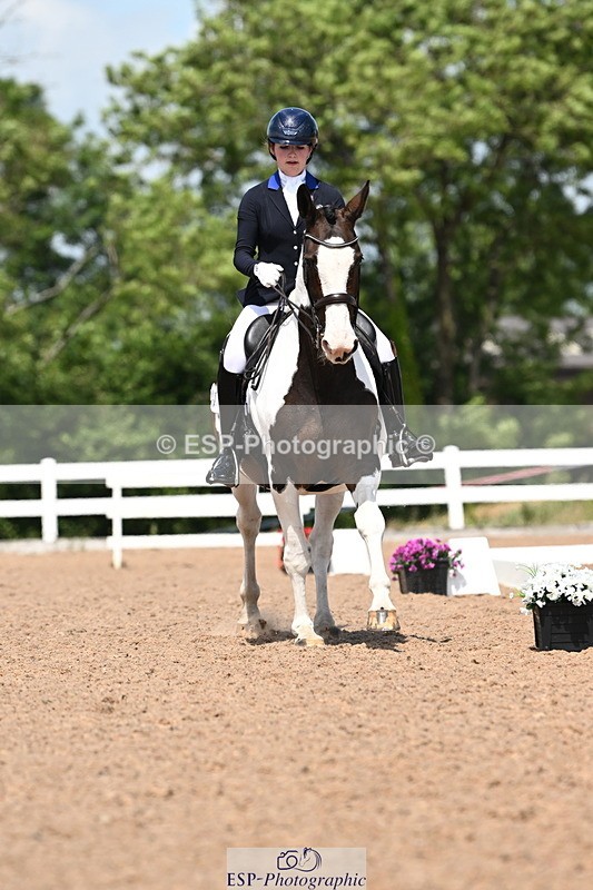 240621A-140103-04198 - Cls 8 BD Elementary 53