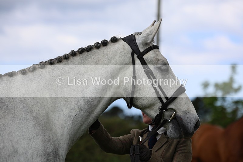 3E7A0537 - Class 20: Sports Horse