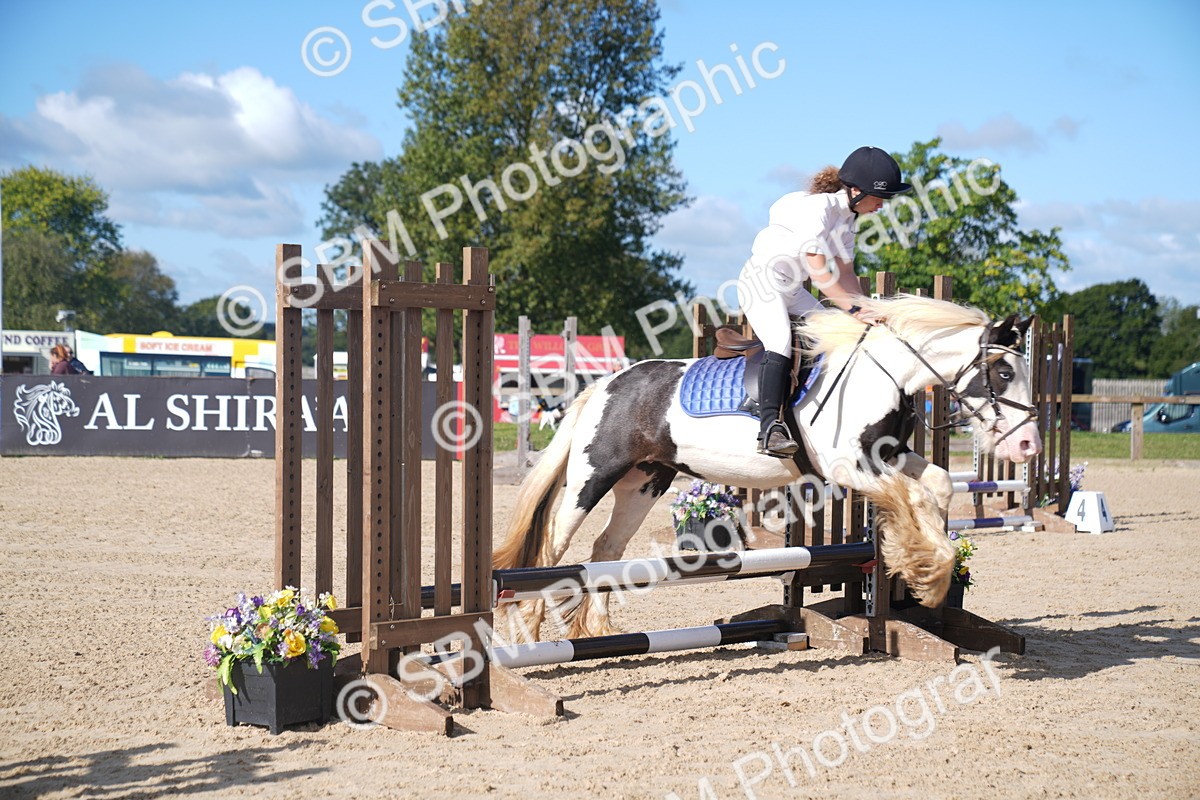 SBM_02369 - J54 Clear Round 45cm