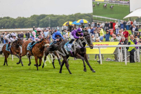180523-Race 6-Cuban Thunder-7433 - Race 6 4.45pm Frank Whittle Partnership ebfstallions.com Maiden Stakes