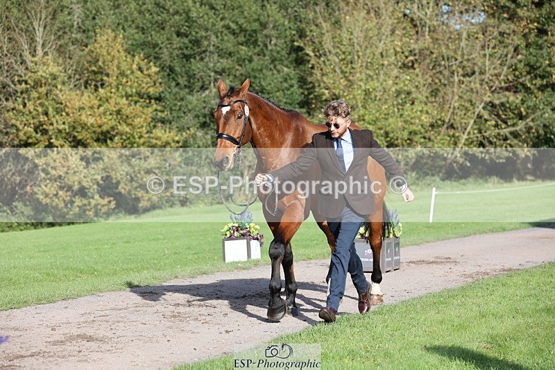 241027-101807-15800 - 555-Kane.Phillips-GURRAUN.CATCH.UP