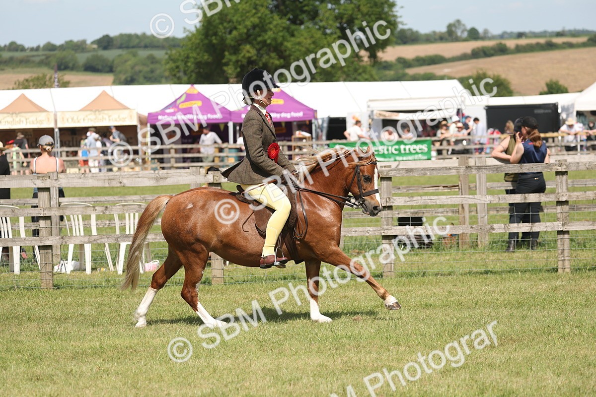 SBM_07677 - Class 26-30 - Mountain and Moorland Ridden