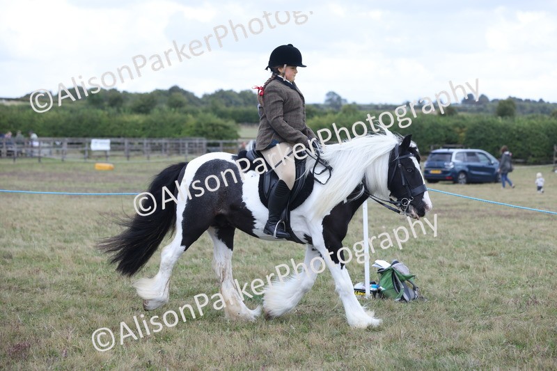 20250831-4223 - Class 20 - Ridden Coloured