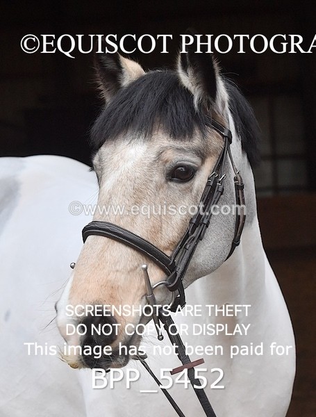 BPP_5452 - Natalie Nelson