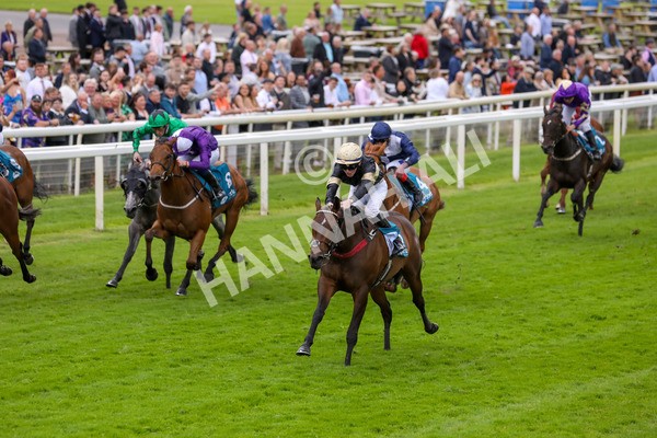 140624-Race 3-Alfa Kellenic-5602 - Race 3 3.00pm British EBF Supporting Racing With Pride Fillies' Handicap