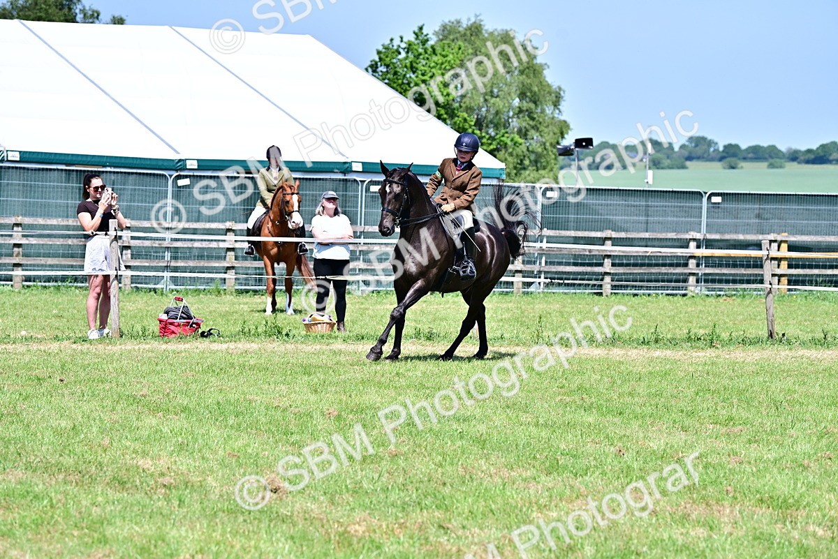SBM_15396 - Class 95-97 - BSPS LHS Performance Ponies