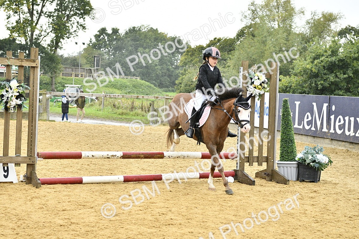 SBM_70815 - J3 - Mini Tour Junior Pony 40cm championship