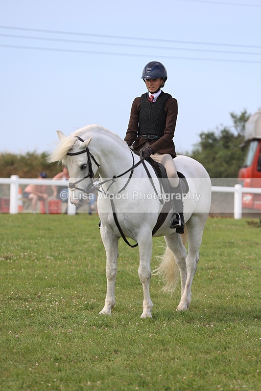 JPP_3866 - Class 23: Working Hunter 80cm