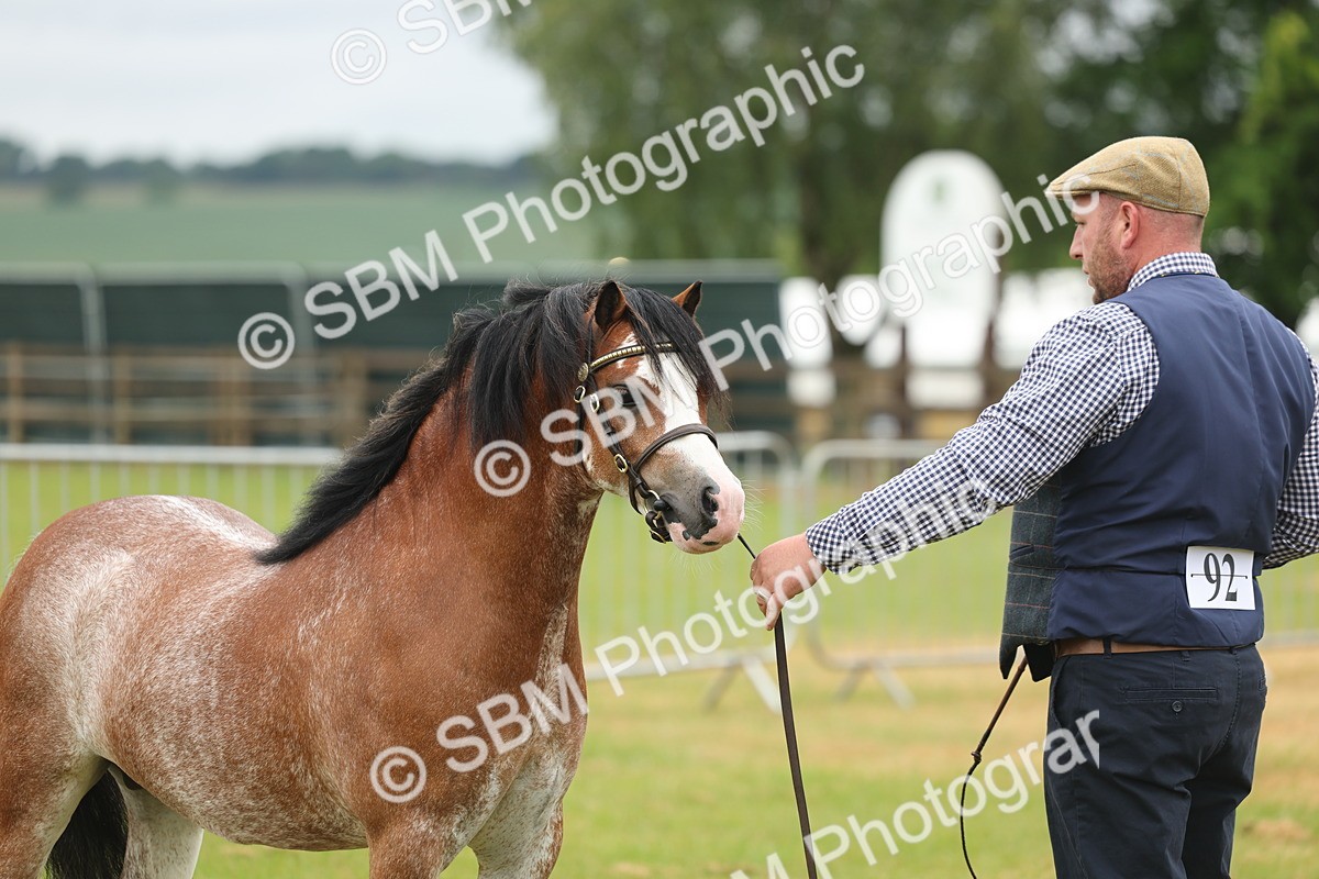 SBM_01389 - Class 50-57 - M&M Welsh Pony In Hand