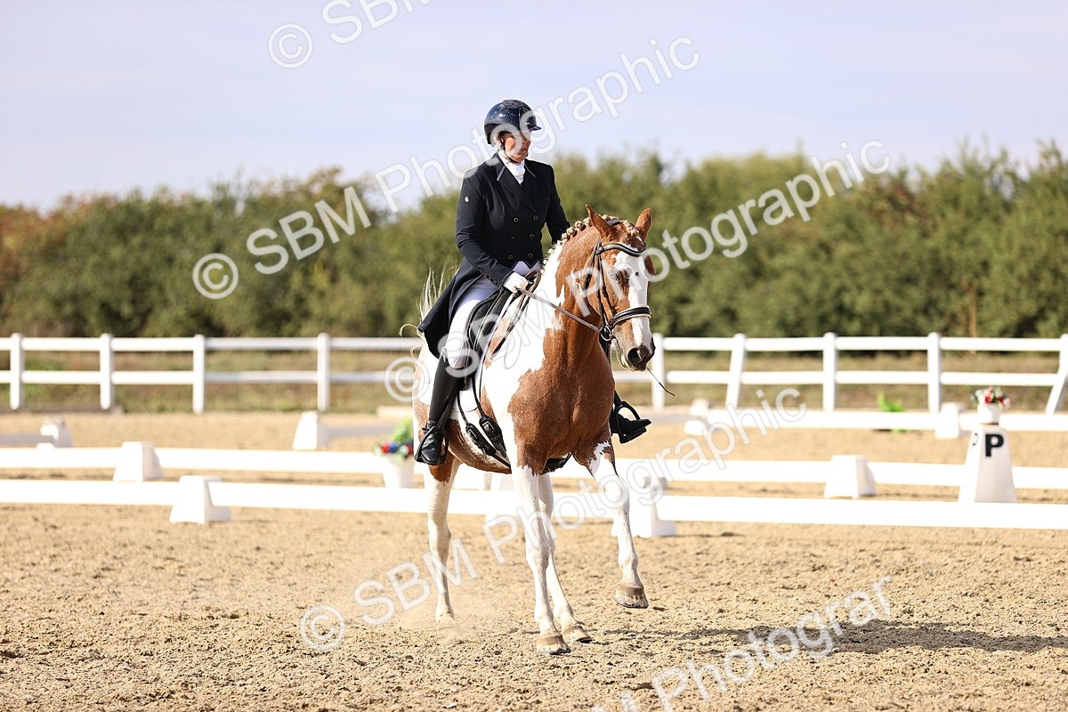 SBM_015459 - Class 11 - FEI PSG