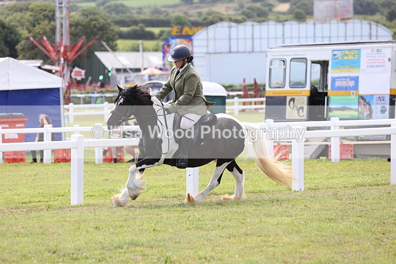 JPP_1535 - Class 17: Cornish Combination Open