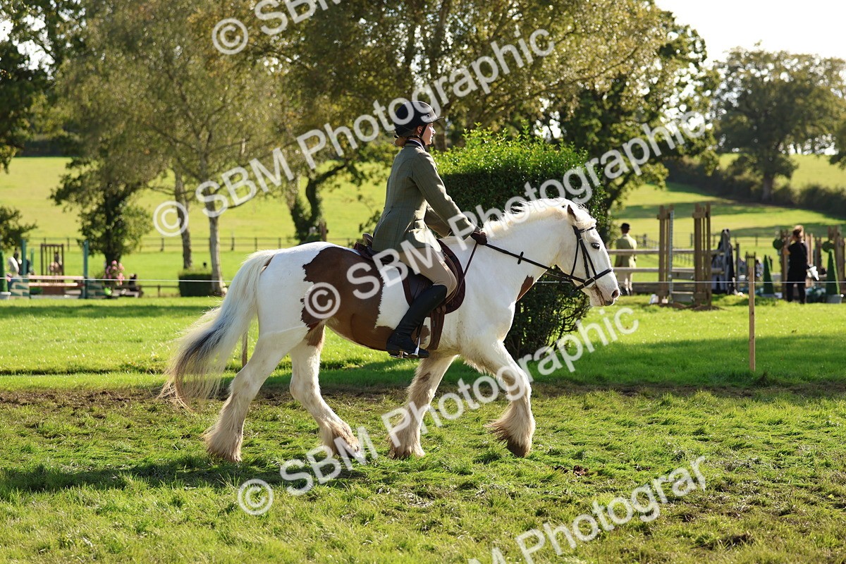 SBM_52381 - S13 - Pony Club Pony
