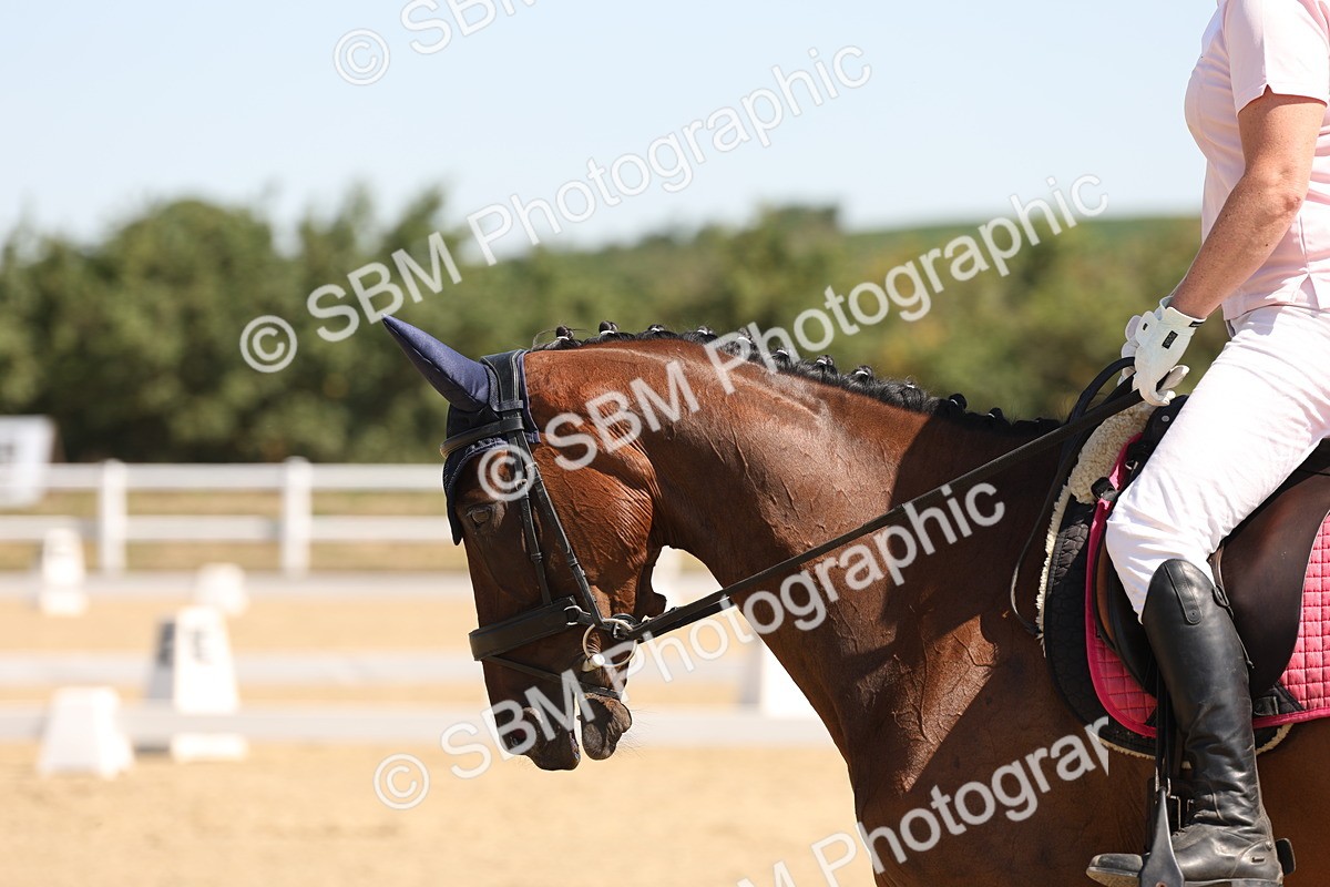 SBM_001152 - Intro 2