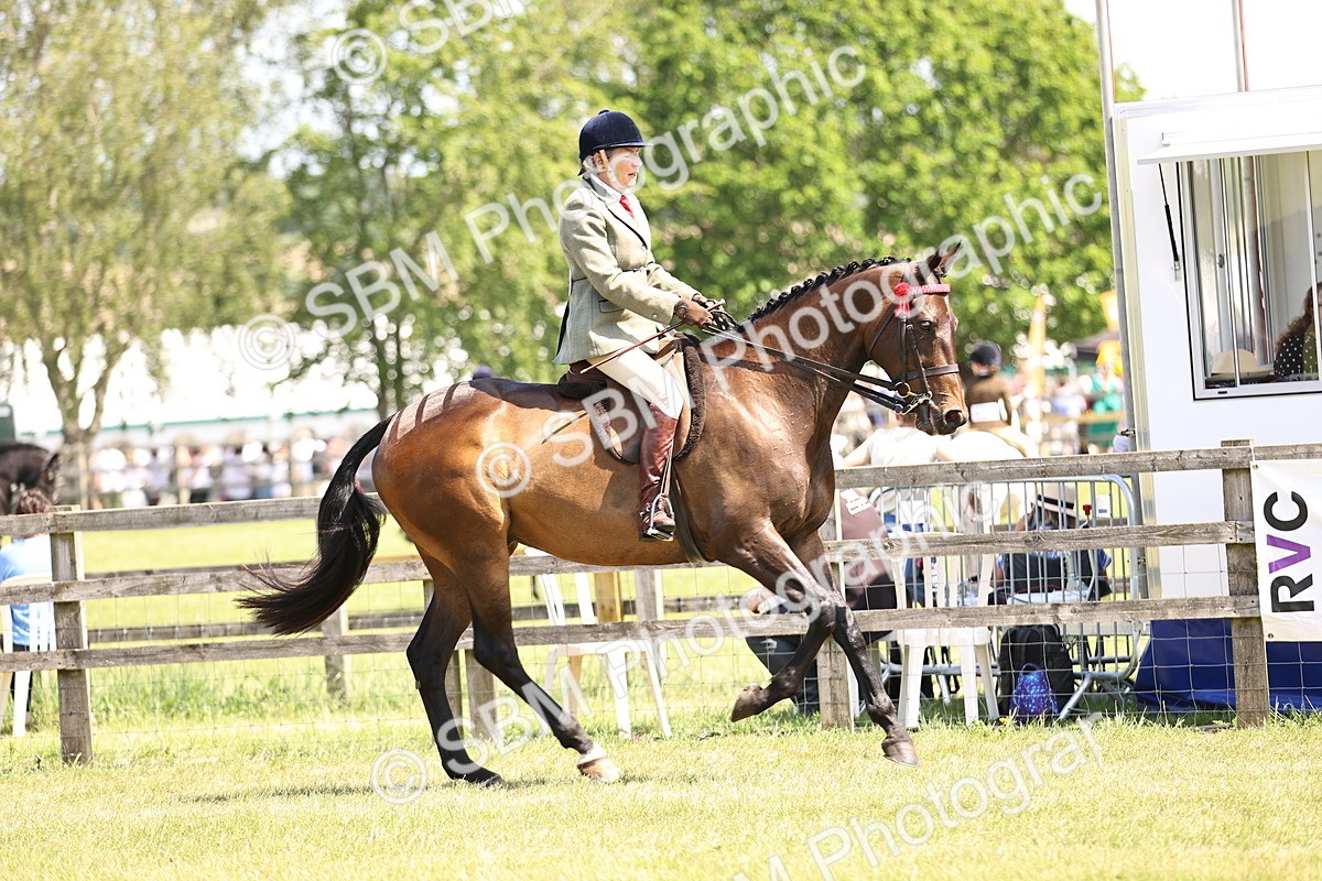 SBM_14858 - Class 78 - LIHS BSHA Open Racehorse & Show Horse