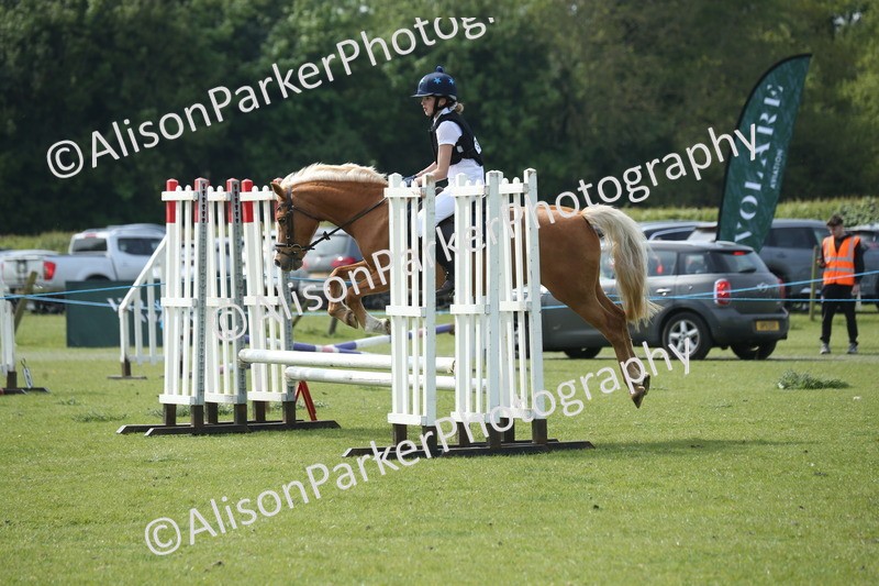 20260426-1621 - Class 14 - Novice 60cm
