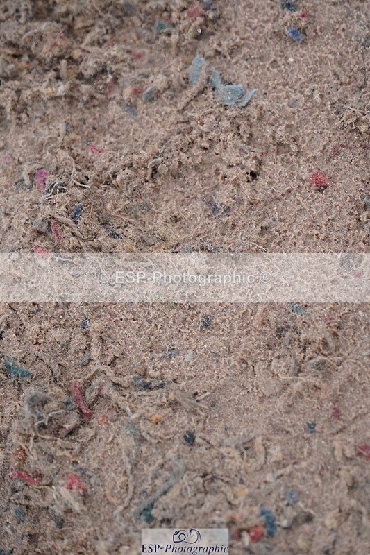 250607-135916-01249 - Cls 34 Stepping Stones