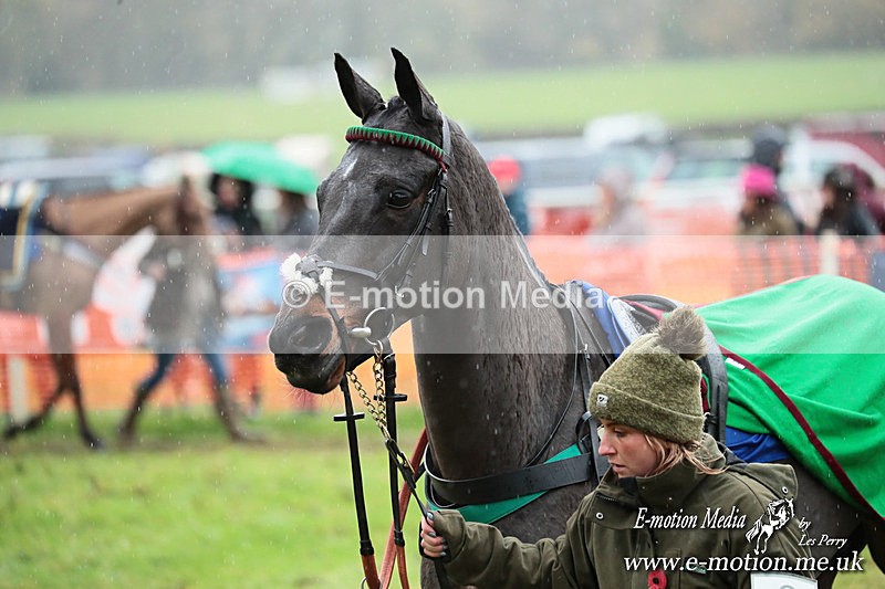 PtP 091125  0924 - Point-to-Point Wales Area Club Lower Machen, Gwent 09/11/25