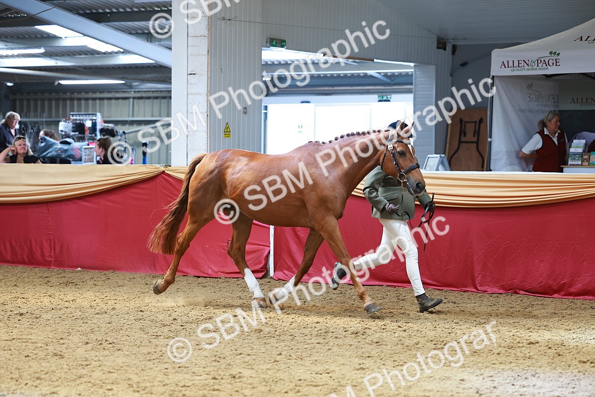 SBM_04110
