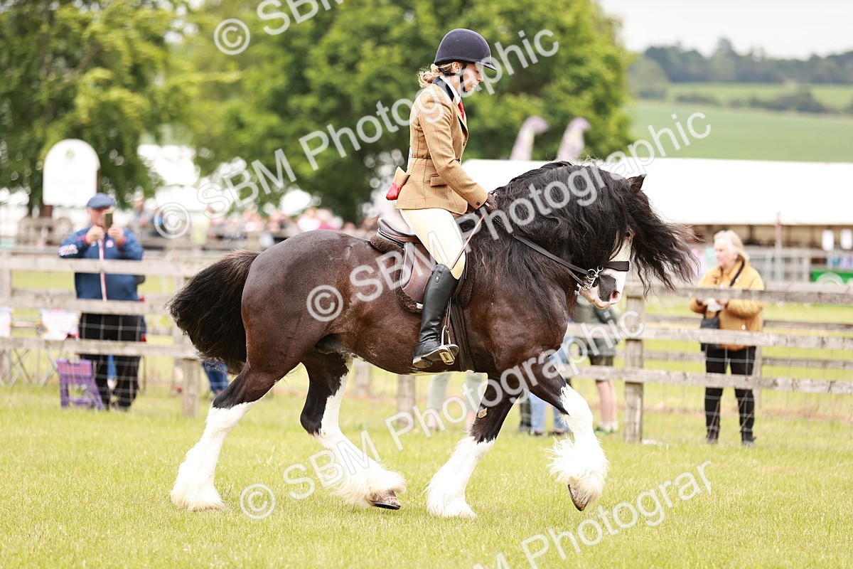 SBM_06185 - Class 39-41 TGCA In Hand and Ridden
