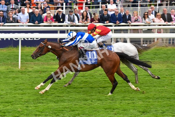 180523-Race 4-The Foxes-9715 - Race 4 3.35pm Al Basti Equiworld Dubai Dante Stakes