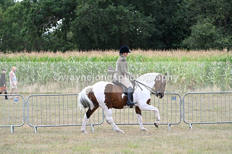 WJ7_5238 - Class 12 Ridden Cob