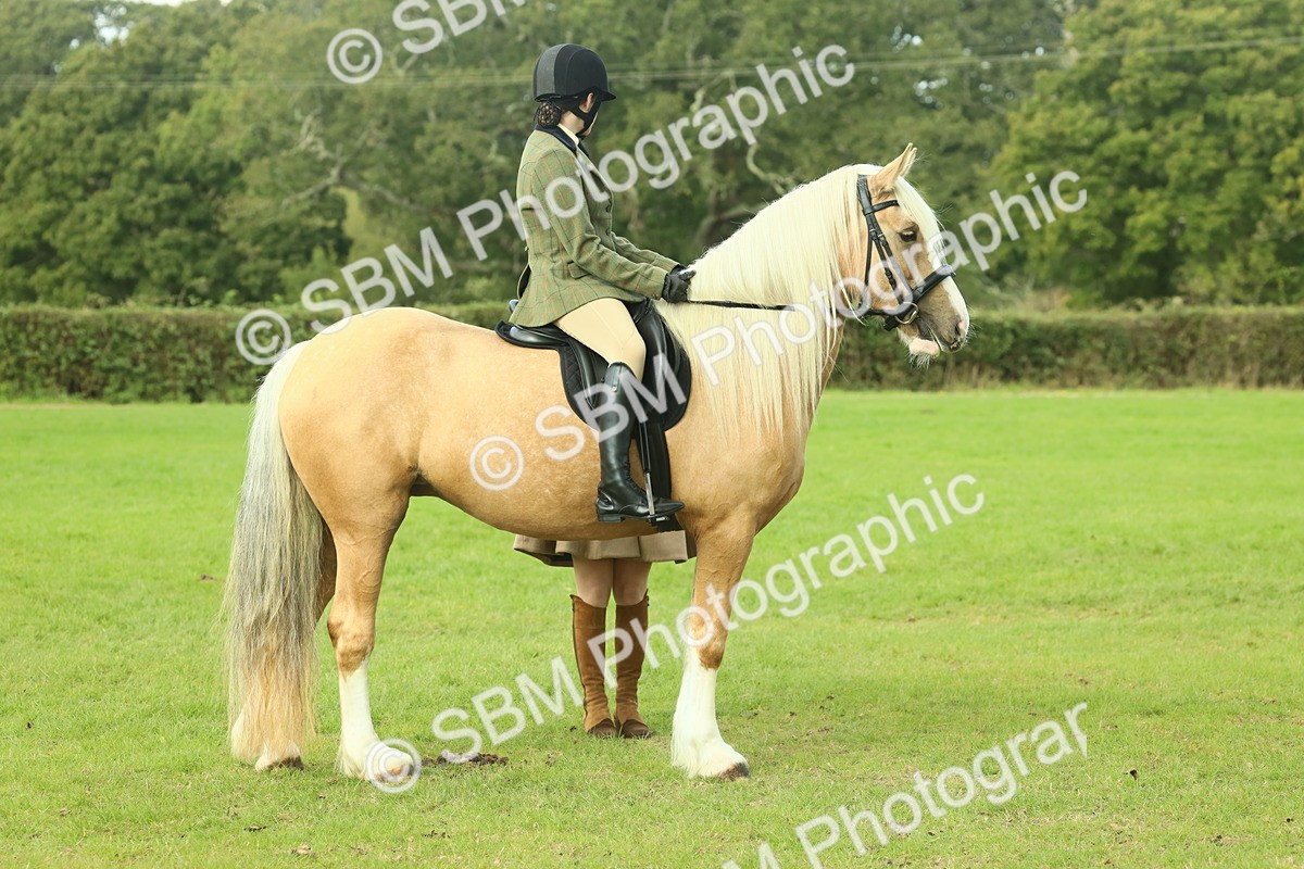 SBM_62633 - S63 - Other Coloured Horse Ridden