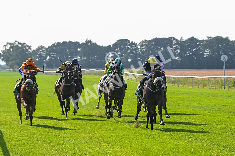 300824-Race 5-Shesashambles-6180 - Race 5