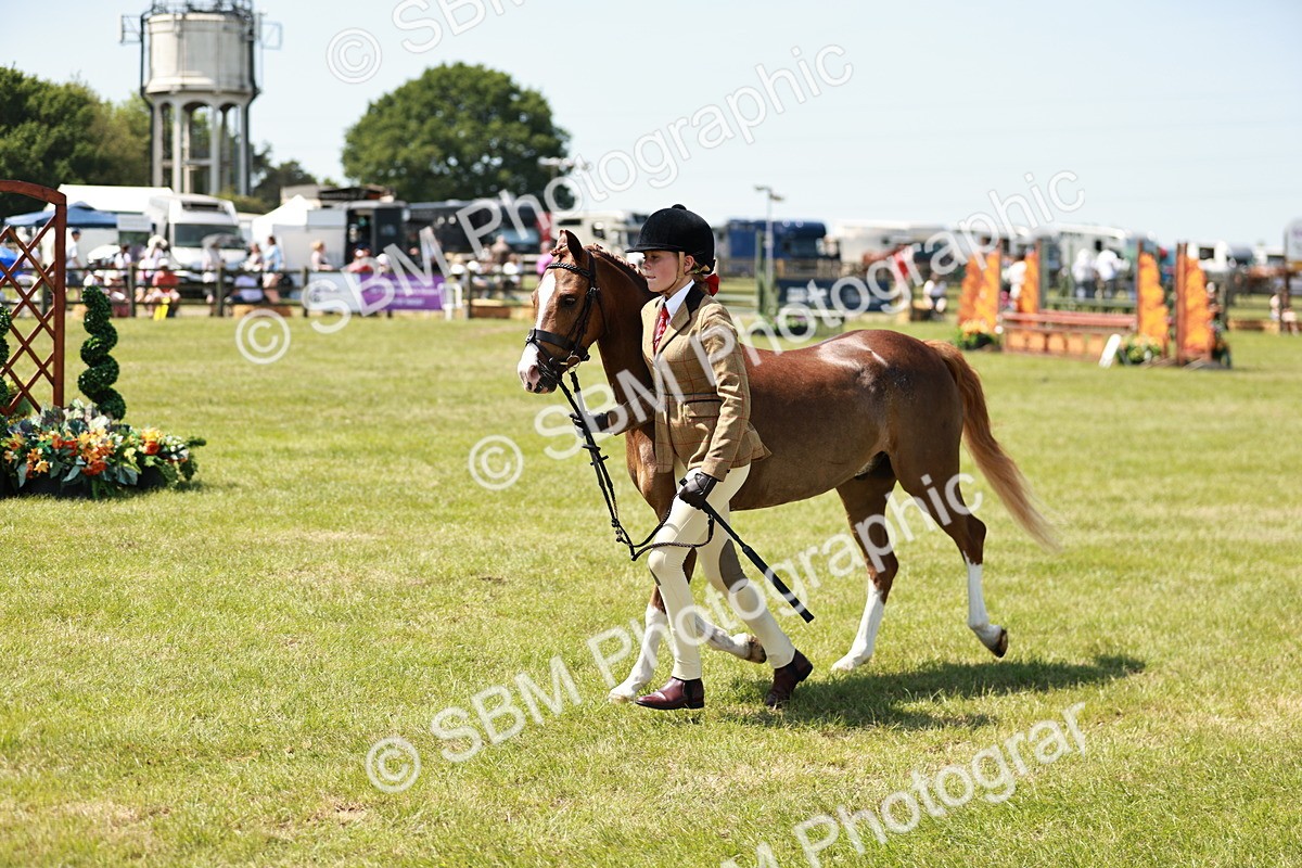 SBM_15688 - Class 108-109 - BSPS LIHS Open Gradle & Nursery Stakes