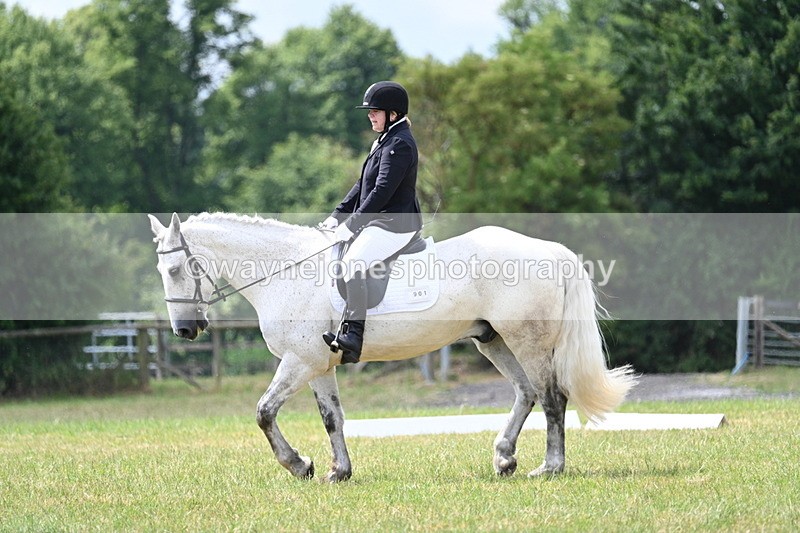 WJ7_4901 - Time 11:22 to 11:51