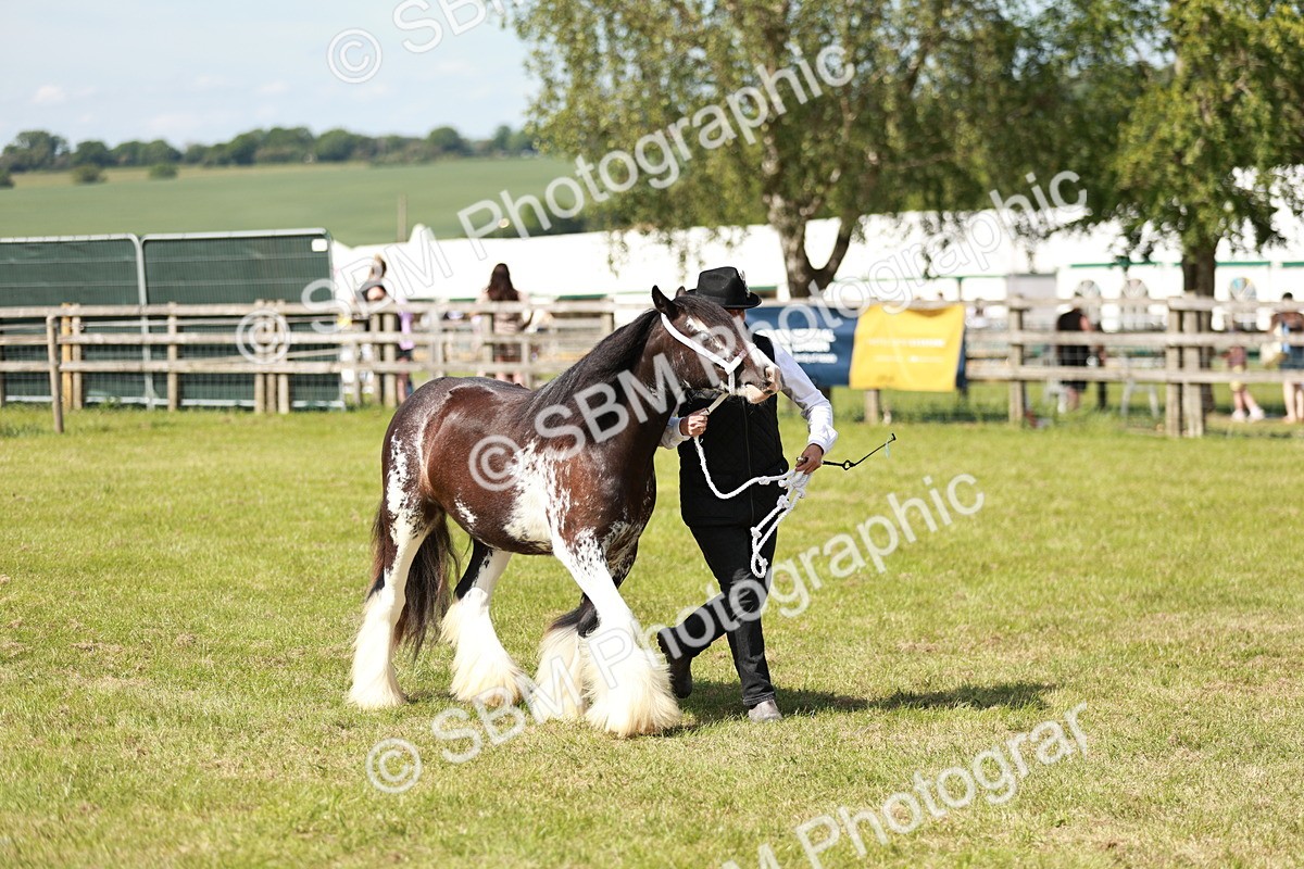 SBM_08609 - Class 63-65 - Traditional Gypsy Cobs In Hand & Ridden