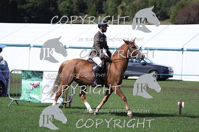 APP_3487 - Class 12 M&M ridden