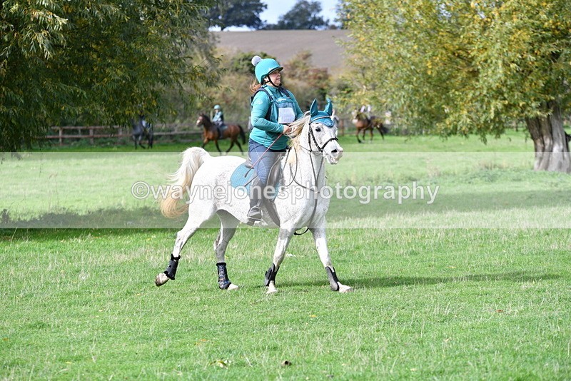 WJ5_9491 - Time 13:03 to 13:25