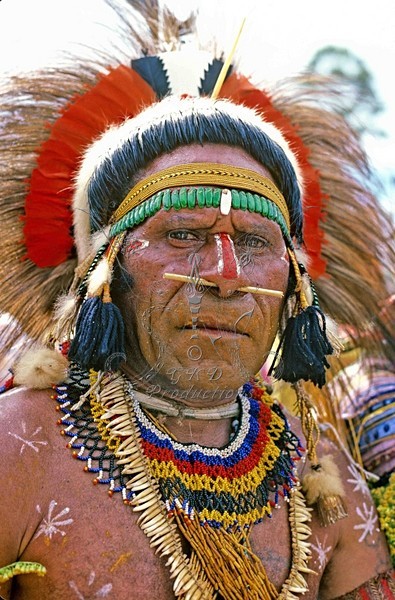 Tribesman - E. Highlands, Papua New Guinea - PEOPLE