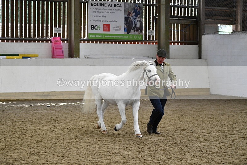 WJ5_5341 - Class 4 In hand M&M - small breeds