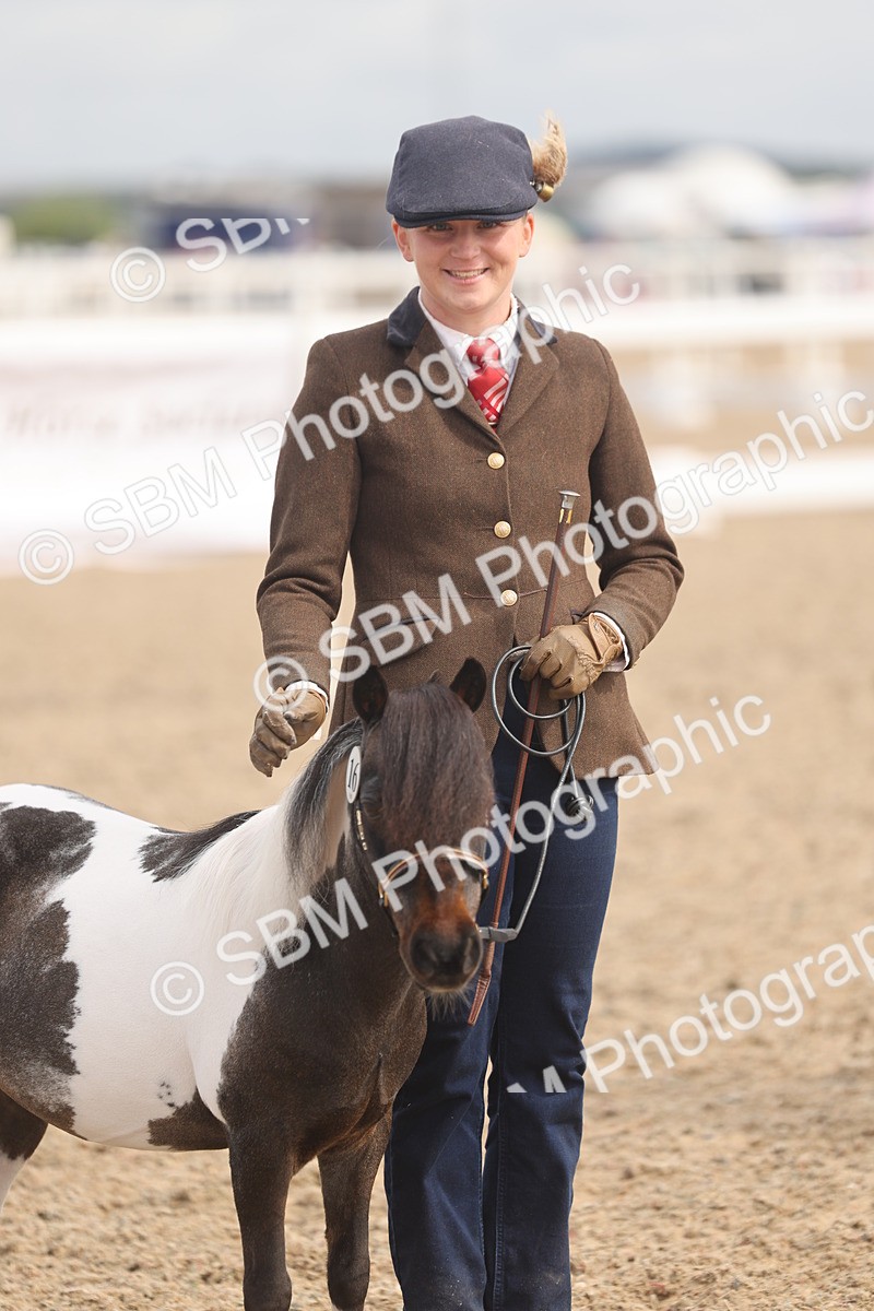 SBM_04566 - Class 19 - Horse/Pony Judge would most like to take home
