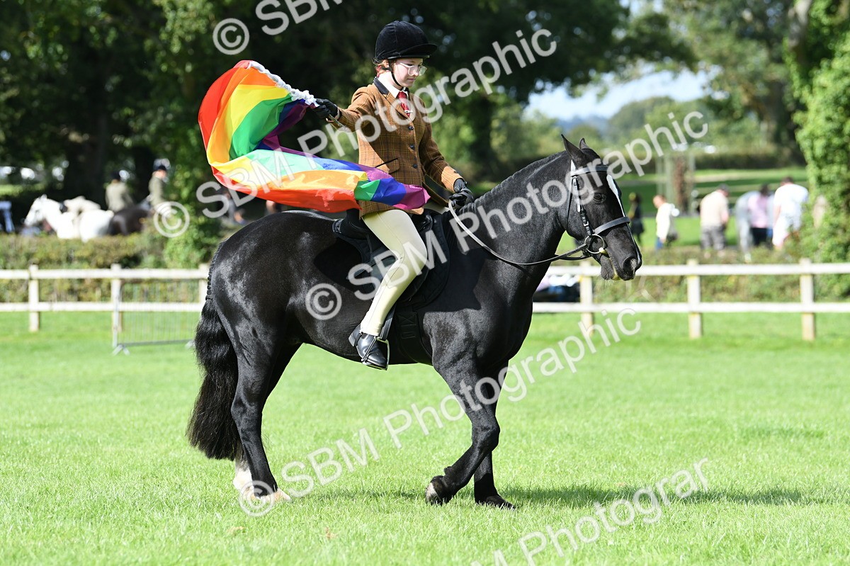 SBM_47058 - S12 - Family Horse & Pony