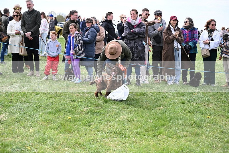 WJ6_8635 - Class 6 Best Rescue