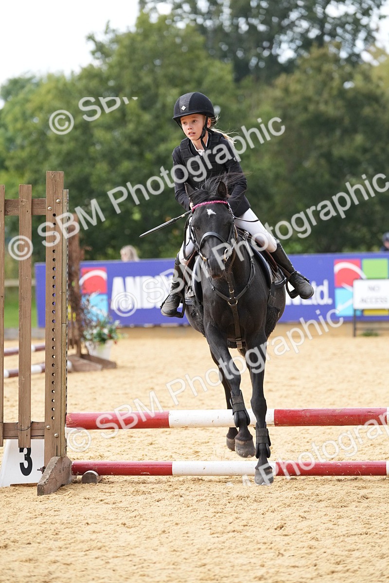 SBM_74714 - J4 - Mini Tour Junior Pony 45cm Championship