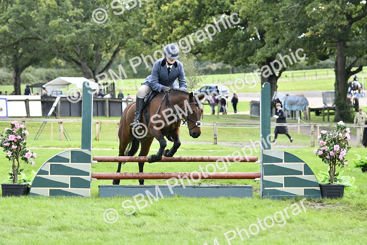 SBM_45633 - S33 - Working Hunter Pony