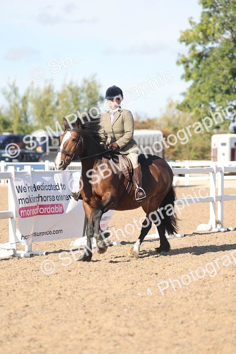 SBM_12345 - Class 304 - Ridden part Bred Horse Pony