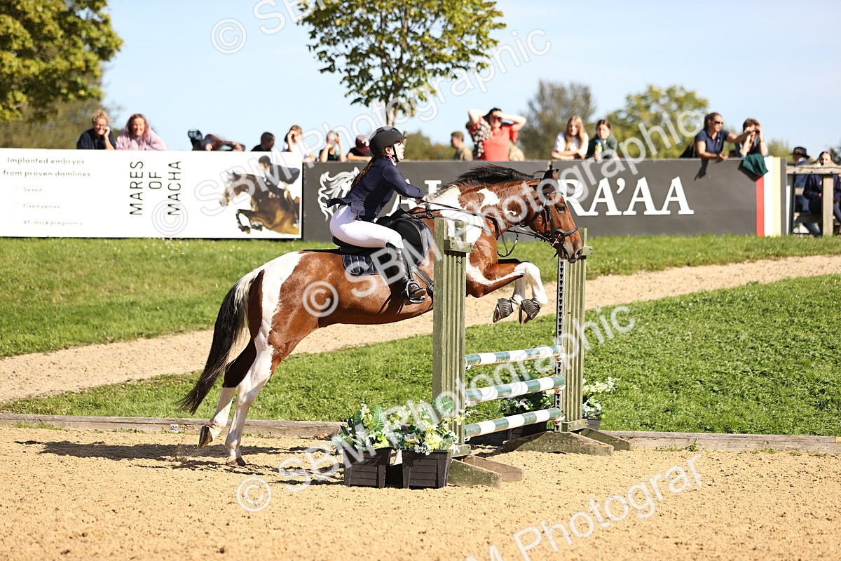 SBM_38282 - J39 - Senior 85cm Championship