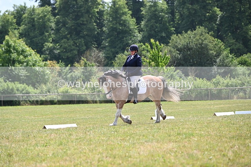 WJ6_7408 - Time 12:25 to 12:56