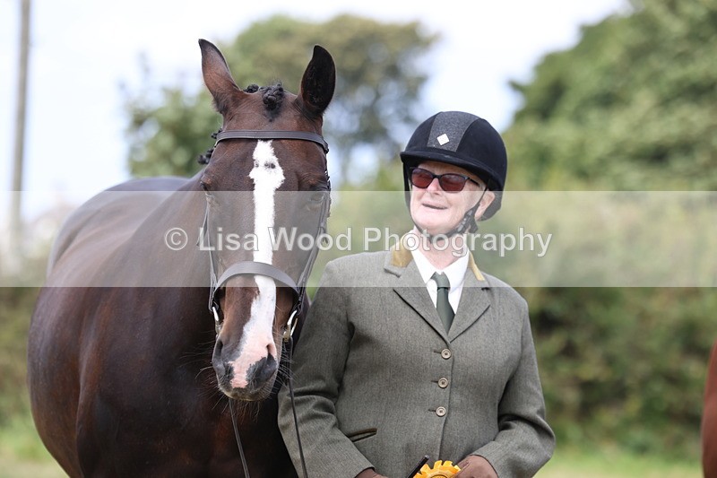 3E7A5606 - Class 20: Sports Horse In Hand